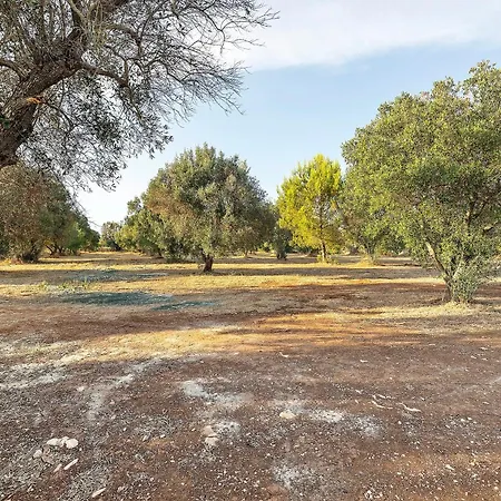 Trullo Dimora Deserto - Ancient Ostuni
